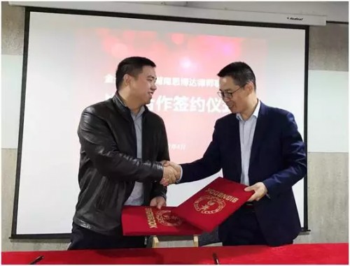 金天鹅与思博达合作